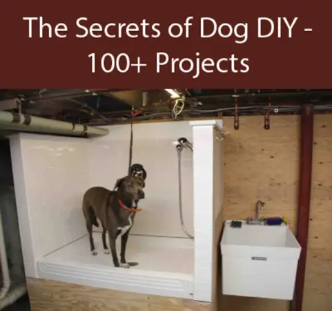 The Ultimate Guide To Dog DIY Projects – Part 10