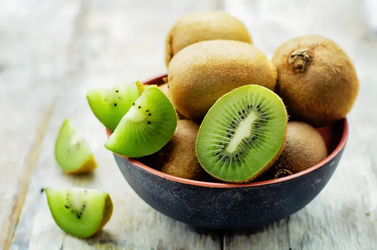 can-dogs-have-kiwi