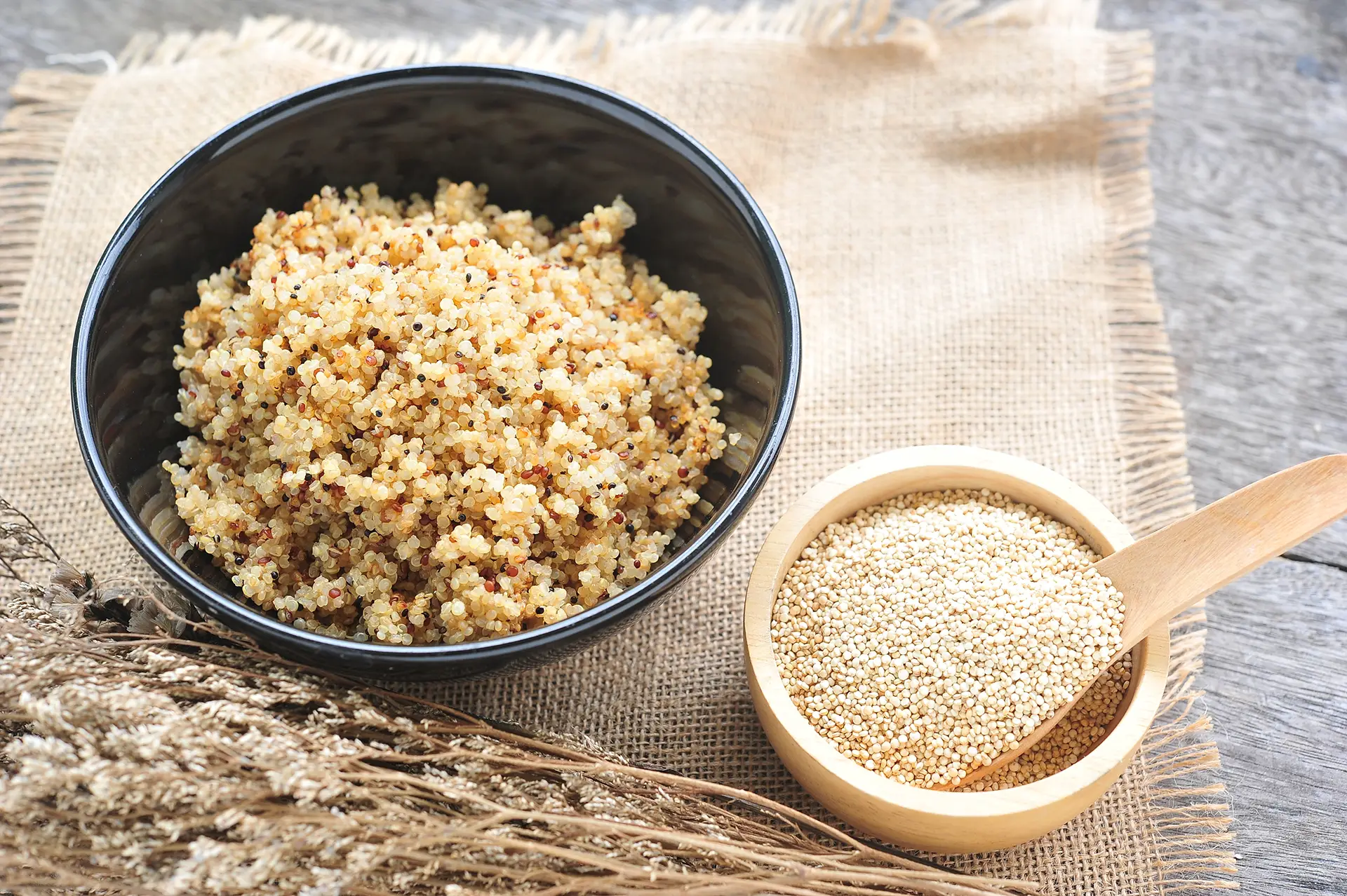 Is Quinoa Good For Dogs?