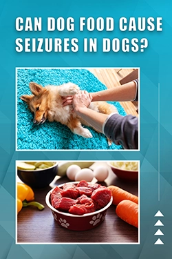 Can Dog Food Cause Seizures In Dogs