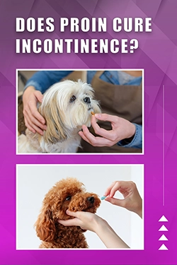 Does Proin Cure Incontinence