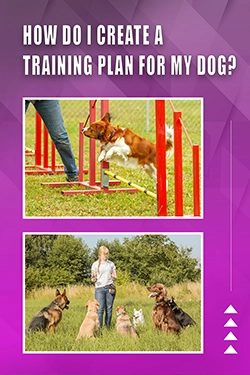 How Do I Create A Training Plan For My Dog
