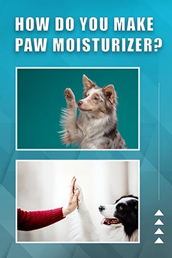 How Do You Make Paw Moisturizer