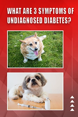 What Are 3 Symptoms Of Undiagnosed Diabetes