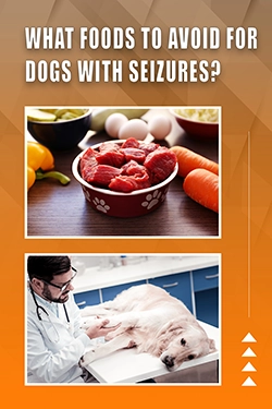 What Foods To Avoid For Dogs With Seizures