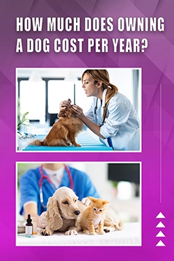How Much Does Owning A Dog Cost Per Year