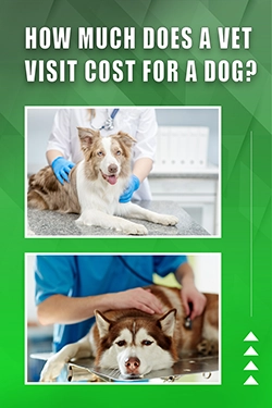 How Much Does A Vet Visit Cost For A Dog