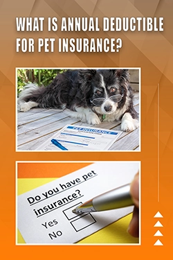 What Is Annual Deductible For Pet Insurance