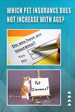Which Pet Insurance Does Not Increase With Age