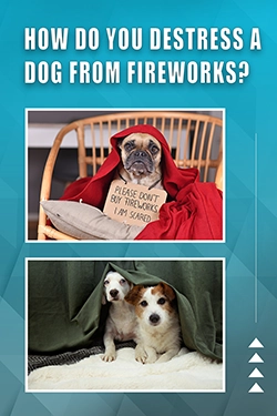 How Do You Destress A Dog From Fireworks