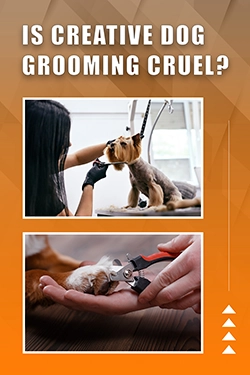 Is Creative Dog Grooming Cruel