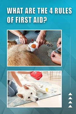 What Are The 4 Rules Of First Aid