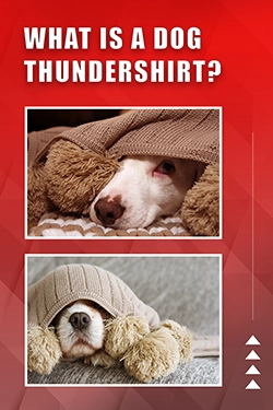 What Is A Dog Thundershirt
