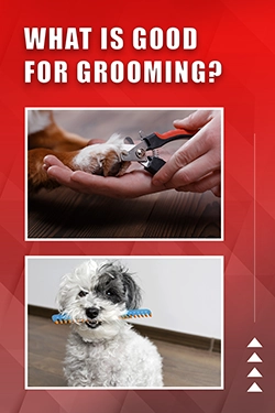 What Is Good For Grooming