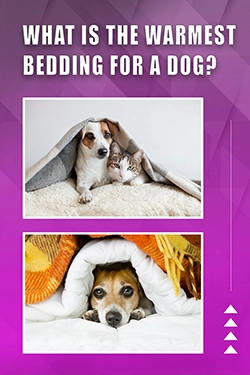 What Is The Warmest Bedding For A Dog
