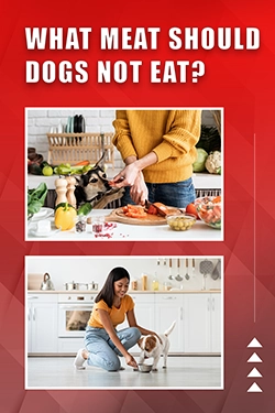 What Meat Should Dogs Not Eat